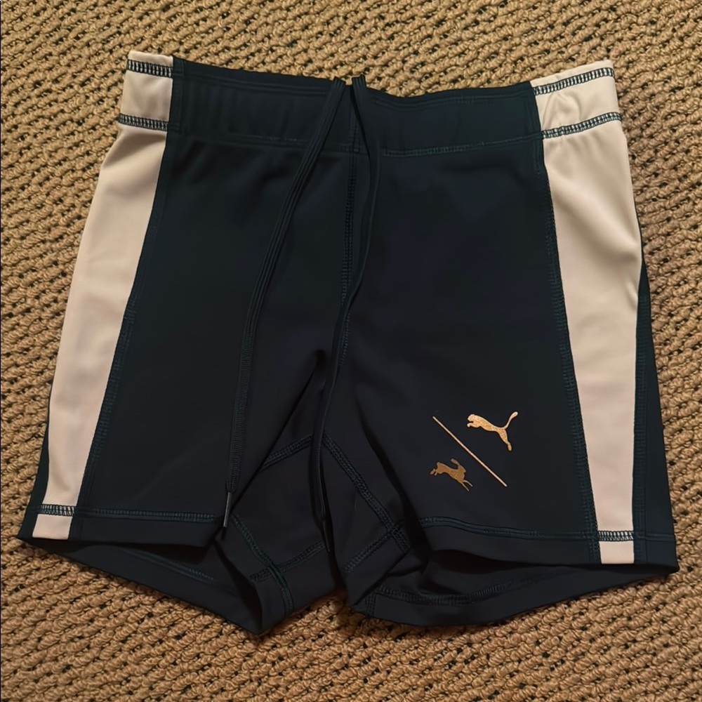 Tracksmith Navy and White Athletic Shorts